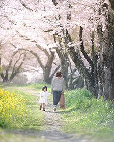 入選　　hyta2418さんの作品「春の散歩道」